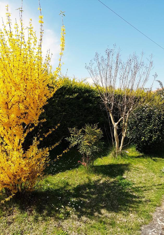 Yiayia'S Rina'S Lovely Cottage Pteria Εξωτερικό φωτογραφία